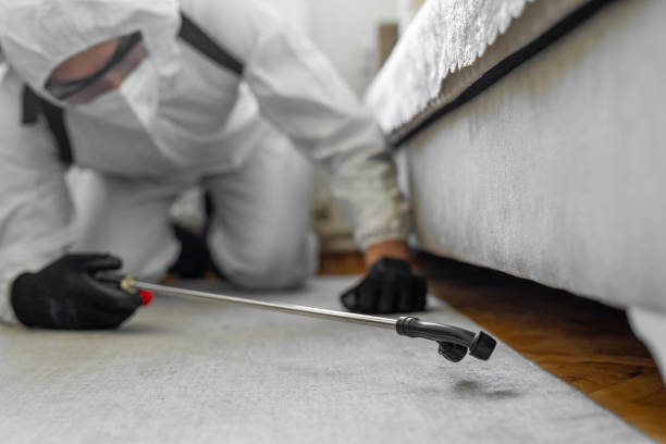 Professional Bed Bug Control technician working in Port Richey, FL