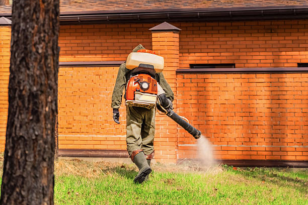Trusted Cockroach Control service in Port Richey, FL - Nex Pest Control